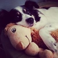 Heather Gailey Westmoreland