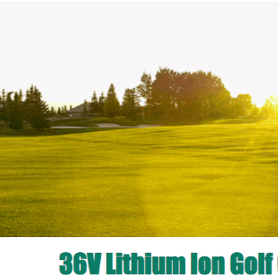 36 Volt Lithium Ion Golf Cart Battery