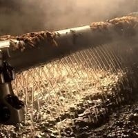 Matthew Fhwdgad Davis