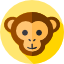 qr monkey
