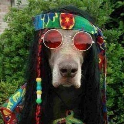 Mr. Investment and the holding company