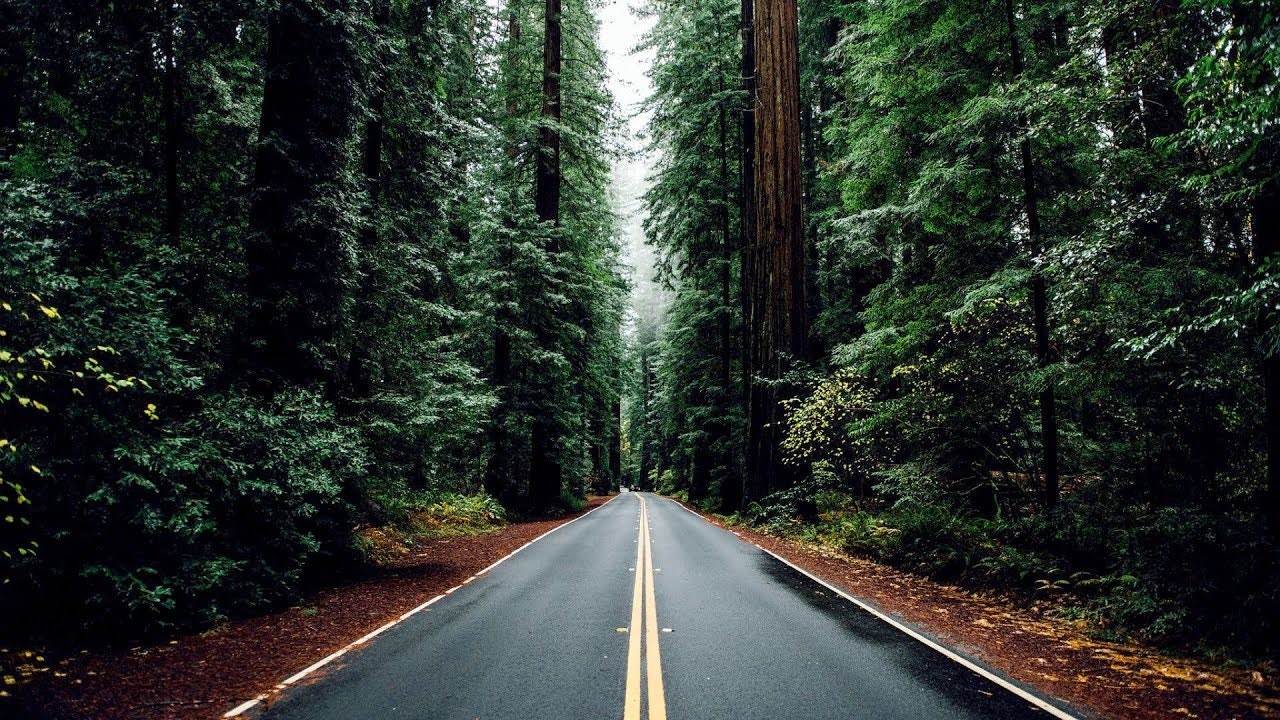 Юлия Белозёрская