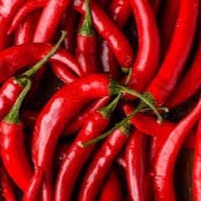 laurynas slezevicius