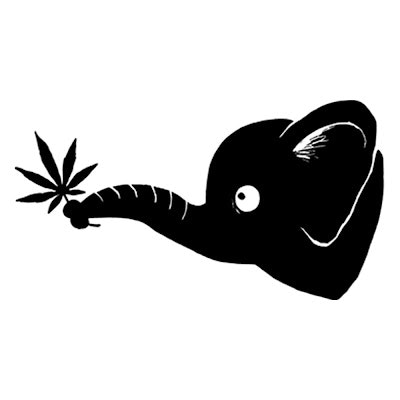 HighThailand Dispensary Map