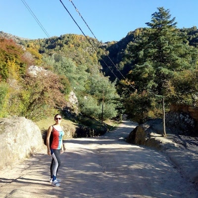 Wanda Trinidad Cirone