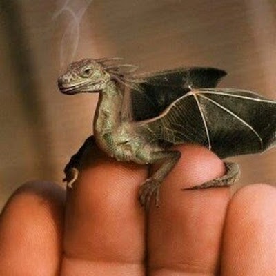 Batuhan Hasan Toyran