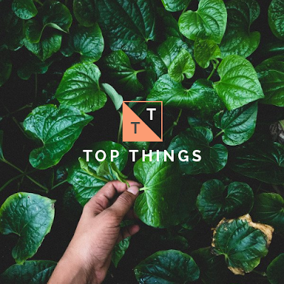 TOP THINGS