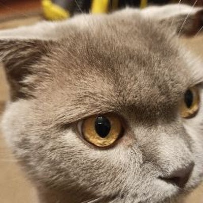 Владислав Лукашив