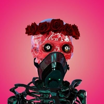 데윗안딕아 ☀️