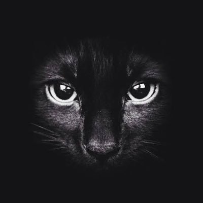 KriptoRamozotti (🤝, 🤝)