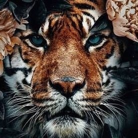 Senjamin Button $VERASITY $BOBA