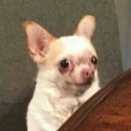 CHIWOWOWIN | pls dont rt my rts ಥ‿ಥ