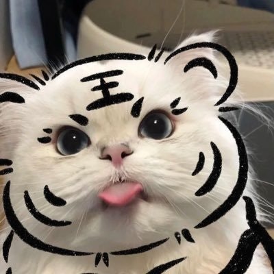 🦋 💐freetag💐