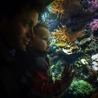 Gijora Georg Dammann