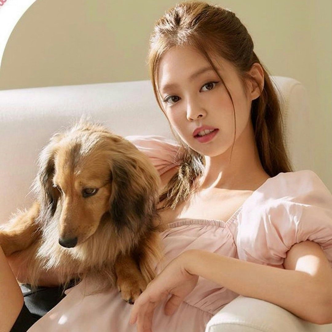 Niadany 🐱||Freetag