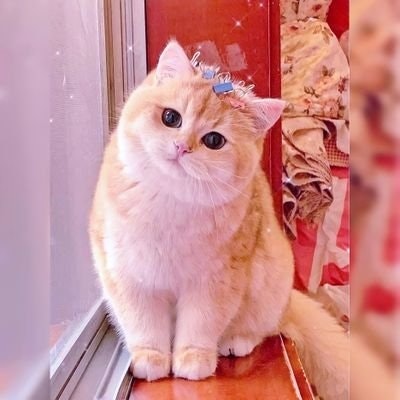 Bersinar 💫 Freetag