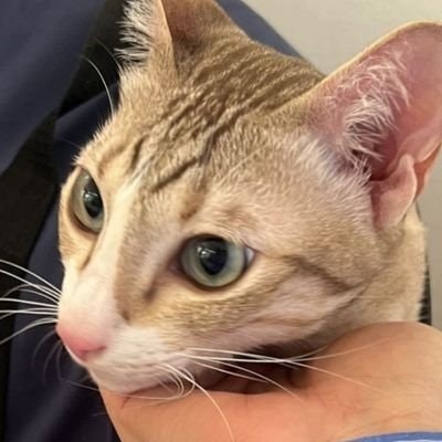 $3000 cutie 🍀✨ fr€€ t@g