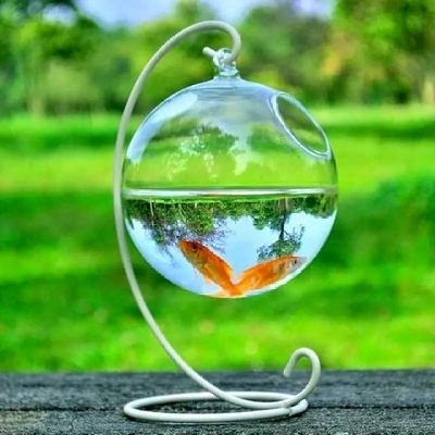 Bismillah....freetag...