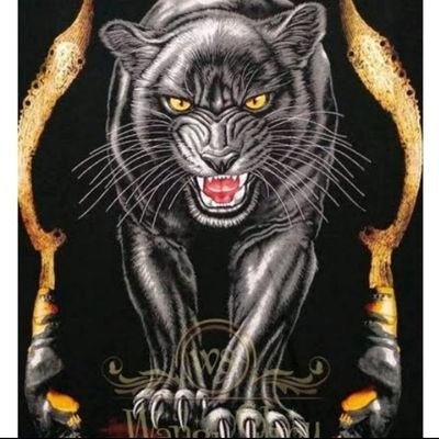 🌟saipul_ajha71🌟