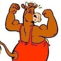 José Eduardo Palmeiro