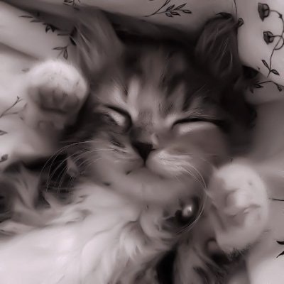 jk 6️⃣5️⃣🎹