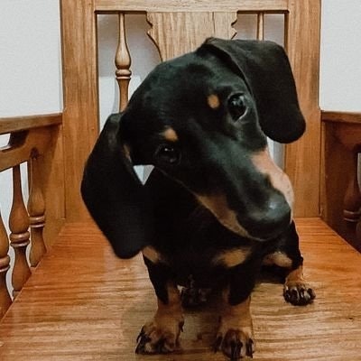 Birthday: September 12