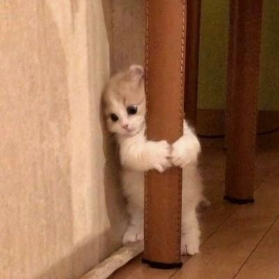 zeza🌸 • freetag