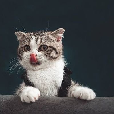 BIGWIN COMING SOON 🥳🥳