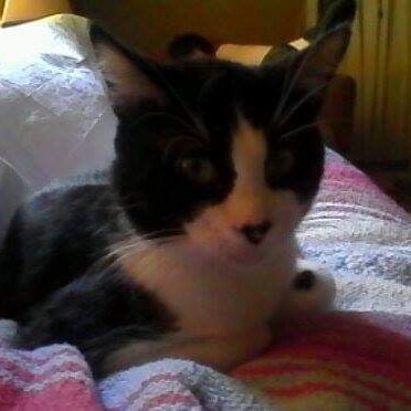 Mark Hopper (yes, that one)