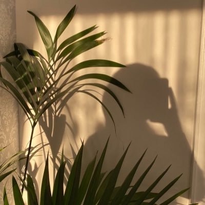 sefkindd— freetag🐣