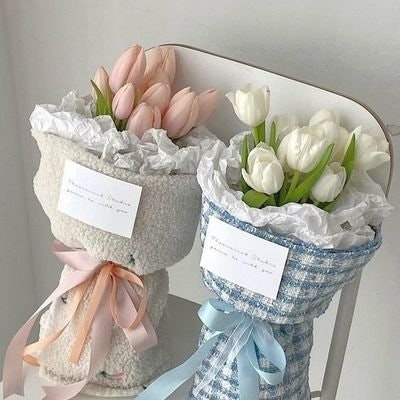 hoki bngt 🍂🗿🍂🗿🍂 #jenus