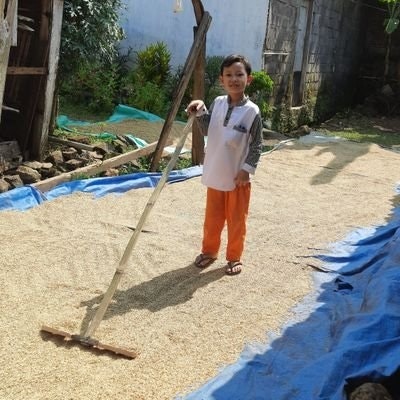 WaktunyaPanen💰💸🌾🌾☘