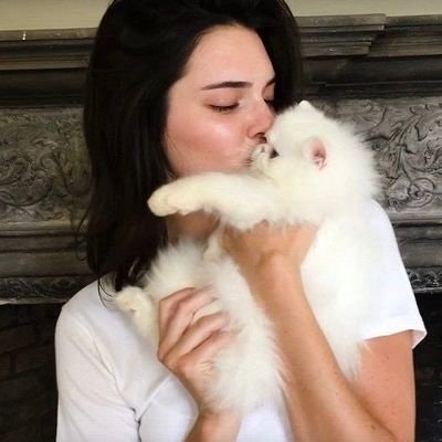 ❀ faye ♡ free tag