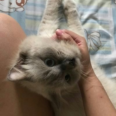 CITO BIGWIN 💸 freetag 24/7