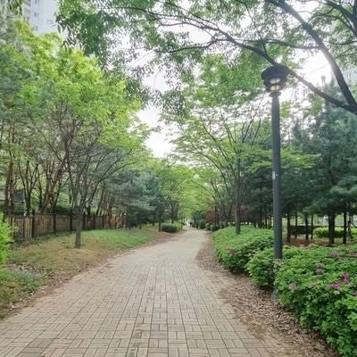 af_winner $1000🏆🥇freetag🤑