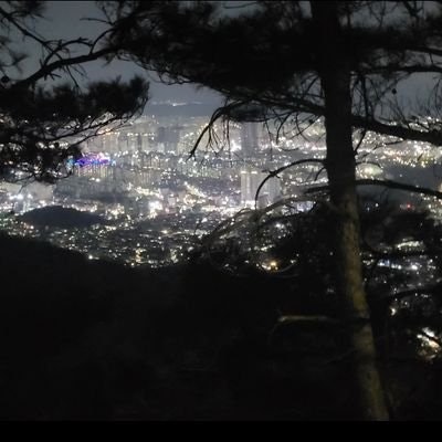 sya ⚡ 메샤🍑✨