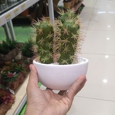 Lucky Valerie /Mi$$ BigWin/