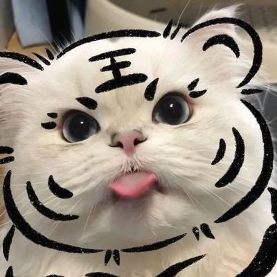 Catcat Mas Yeha 🫡