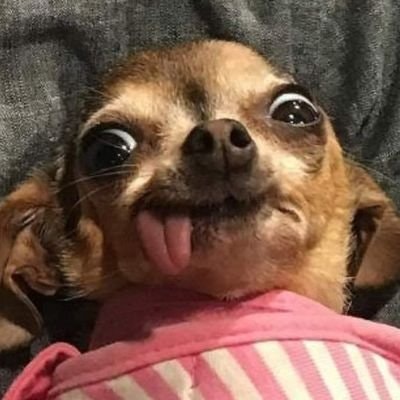 wins wer na u☹️🥹