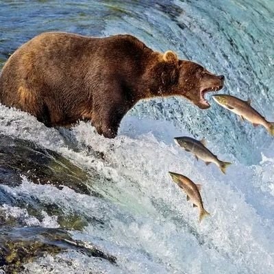 🇮🇩🦄Heri Sanjaya2022win1🦄🇮🇩