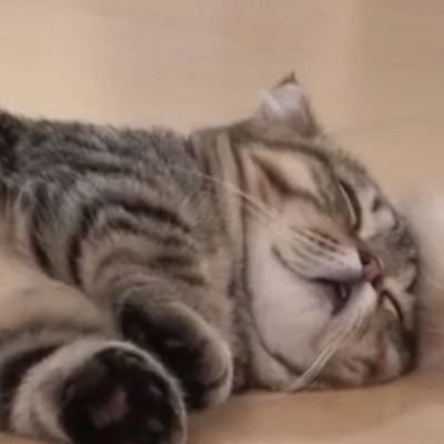 Tag Sepuasnya☝🗿🎊