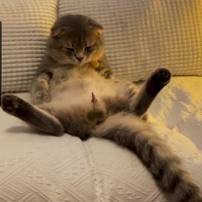 KEAN 🍀📷🥇🎀