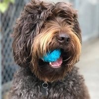 George James Colburn