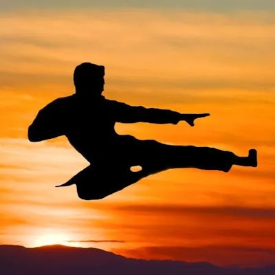 Evolution Martial Arts