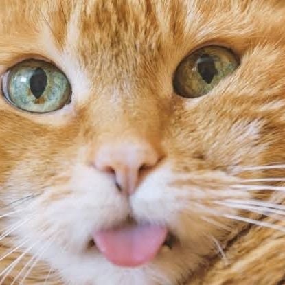 udah pasrah,dpt Alhamdulillah gak dpt ya