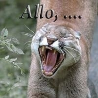 Jean-philippe Bouché