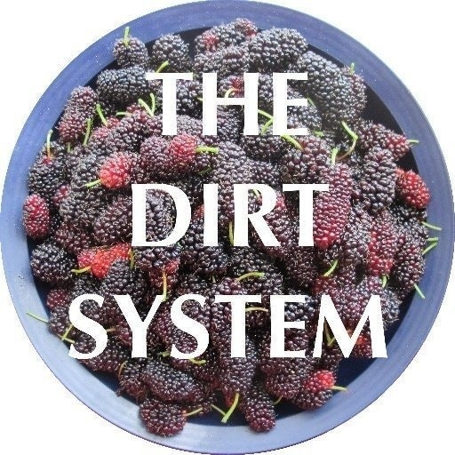 The Dirt System