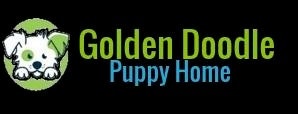 Goldendoodle Puppyhome