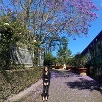 Lương Minh Nguyệt