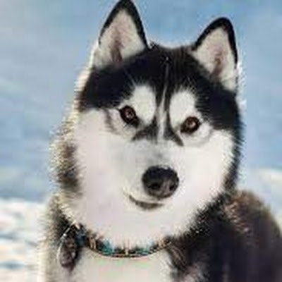 Nichole EspinozaFelix